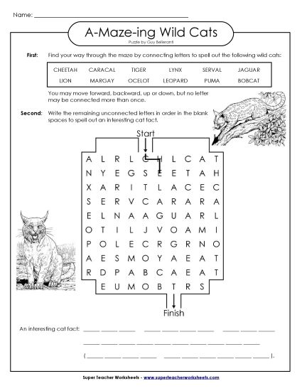 Word-Maze Puzzles - Word Maze: Wild Cats (Mammals) (Printable PDF Worksheet)