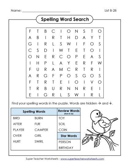 Worksheets - Word Search (B-28) (Printable PDF Worksheet)