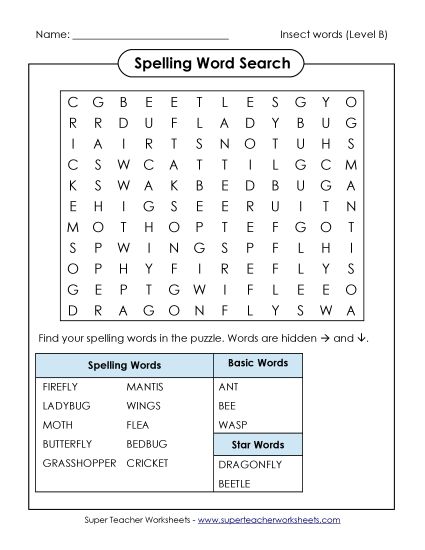 Worksheets and Activities - Word Search (B-Insect Words)  (Printable PDF Worksheet)