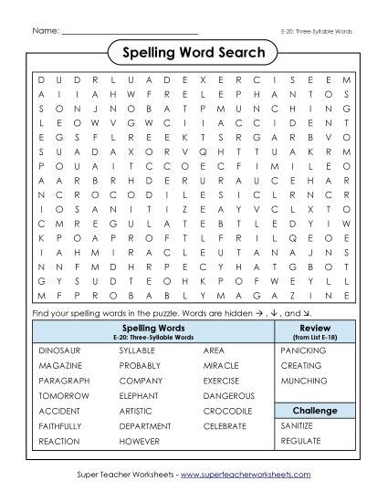 Printable Worksheets - Word Search (E-20) (Printable PDF Worksheet)
