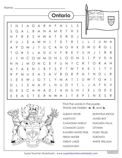 Puzzles - Word Search (Printable PDF Worksheet)