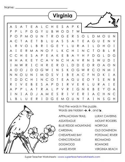 Puzzles - Word Search Puzzle: Virginia (Printable PDF Worksheet)