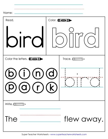 Worksheet 1: Bird (Printable PDF Worksheet)