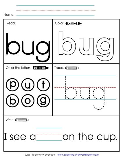 Worksheet 1: Bug (Printable PDF Worksheet)