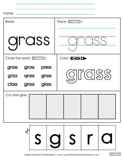 Worksheet 2: Grass (Printable PDF Worksheet)
