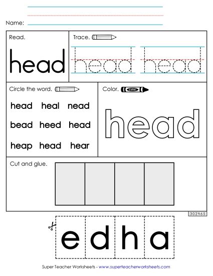 Worksheet 2: Head (Printable PDF Worksheet)