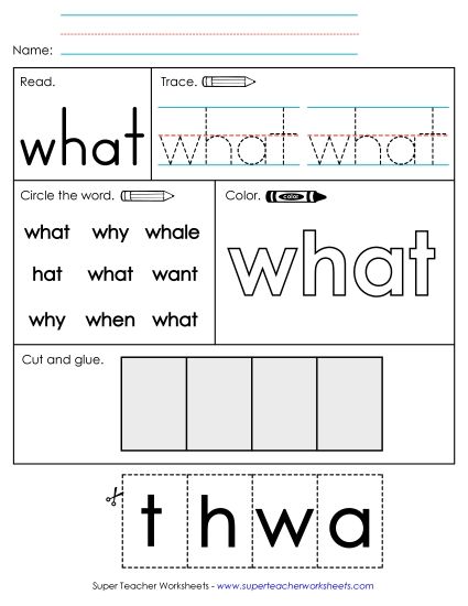 Worksheet 2: What (Printable PDF Worksheet)