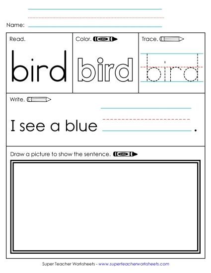 Worksheet 3: Bird (Printable PDF Worksheet)