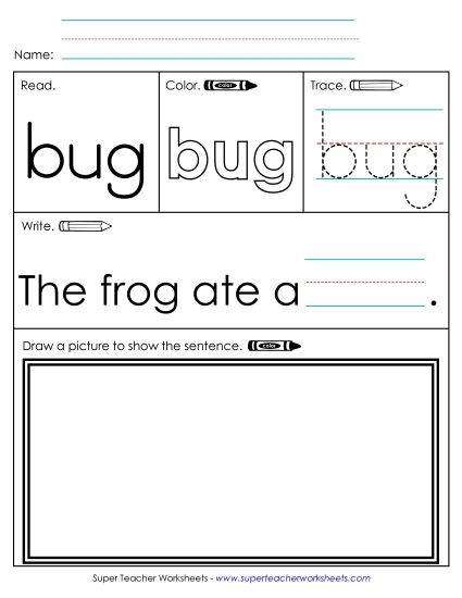 Worksheet 3: Bug (Printable PDF Worksheet)