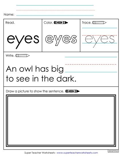 Worksheet 3: Eyes (Printable PDF Worksheet)
