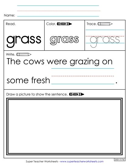 Worksheet 3: Grass (Printable PDF Worksheet)