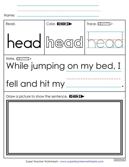 Worksheet 3: Head (Printable PDF Worksheet)