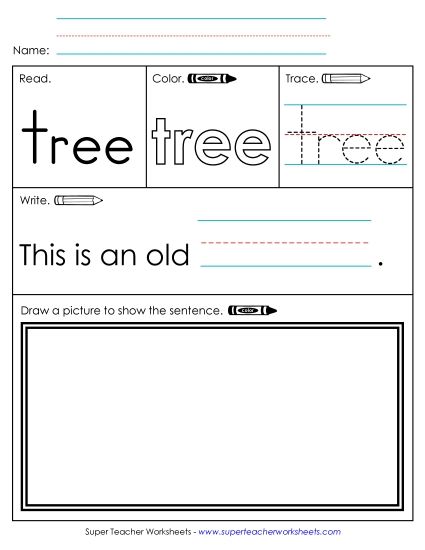 Worksheet 3: Tree (Printable PDF Worksheet)