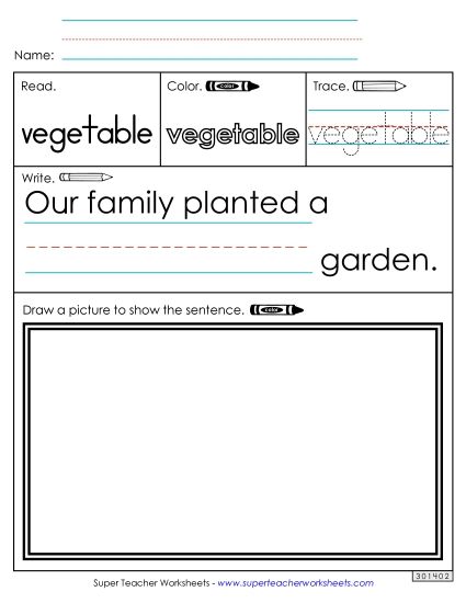 Worksheet 3: Vegetable (Printable PDF Worksheet)