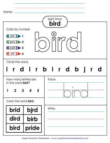 Worksheet 4: Bird (Printable PDF Worksheet)