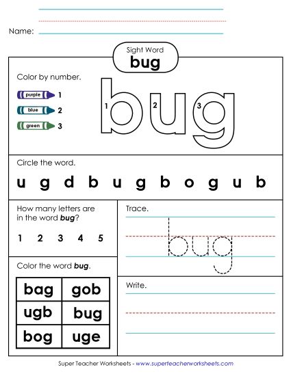 Worksheet 4: Bug (Printable PDF Worksheet)