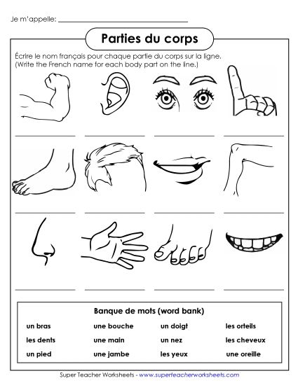 Body Parts (Parties du corps) - Write the Word: Body Parts (Printable PDF Worksheet)