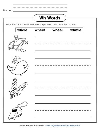 Worksheets - Write WH Words (Printable PDF Worksheet)