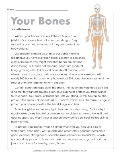Human Body Articles - Your Bones (Printable PDF Worksheet)