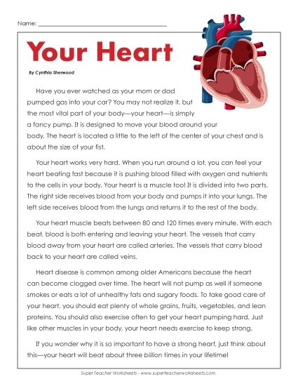 Human Body Articles - Your Heart (Printable PDF Worksheet)