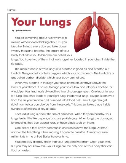 Human Body Articles - Your Lungs (Printable PDF Worksheet)