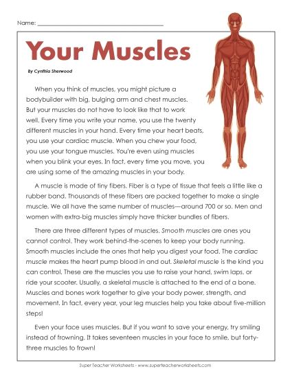 Human Body Articles - Your Muscles (Printable PDF Worksheet)