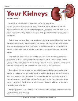 Article: Your Kidneys 6th Grade Science Worksheet