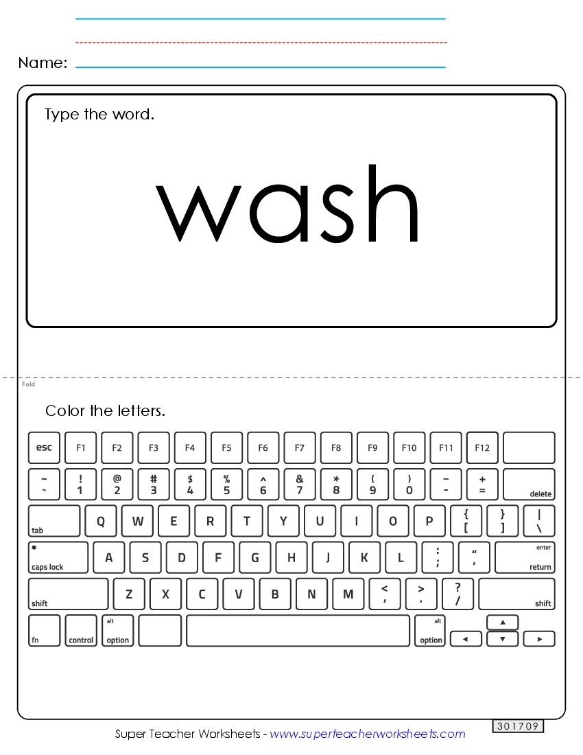 Type the Word: Wash Sight Words Individual Worksheet