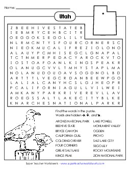 Word Search Puzzle States Individual Worksheet