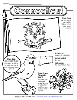 Connecticut State Symbols Coloring Page States Individual Worksheet