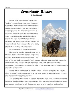 American Bison 5th Grade Reading Comprehension Worksheet