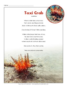 Taxi Crab Reading Comprehension Worksheet