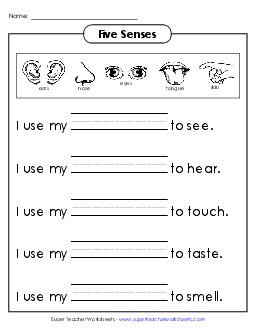 Senses: Fill in the Words Five Senses Worksheet