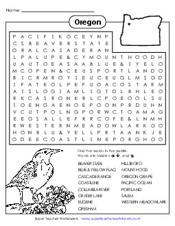 Word Search Puzzle States Individual Worksheet