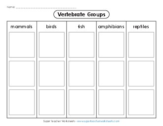 Vertebrates: Cut, Sort, & Glue Free 3rd Grade 3rd Grade Science Worksheet