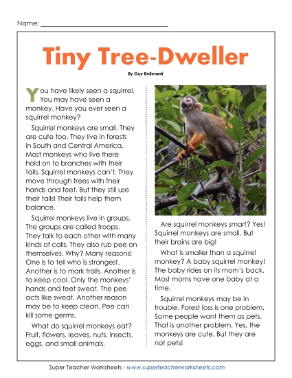 New Tiny Tree-Dweller Worksheet New Tiny Tree-Dweller Worksheet