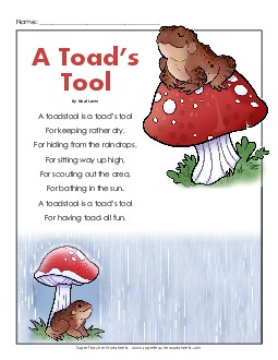 A Toad\'s Tool  3rd Grade Reading Comprehension Worksheet