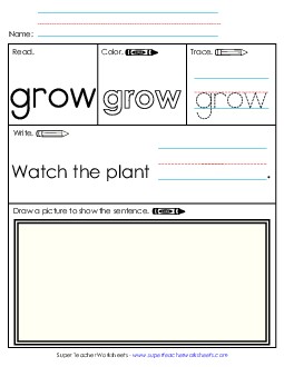 Worksheet 3: Grow Sight Words Individual Worksheet