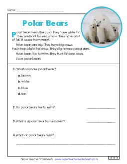 Polar Bears (Short) 1st Grade Reading Comprehension Reading Comp Short Worksheet