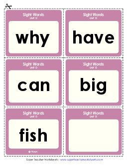 Flashcards (Unit 12) Sight Words Worksheet