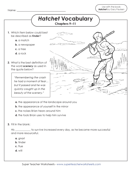New Vocabulary Questions (Chapters 9–11) Worksheet