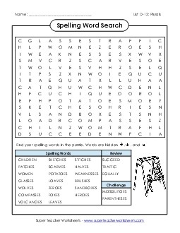 Word Search (D-12) Spelling D Worksheet