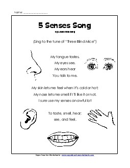 Five Senses Song Songs Worksheet