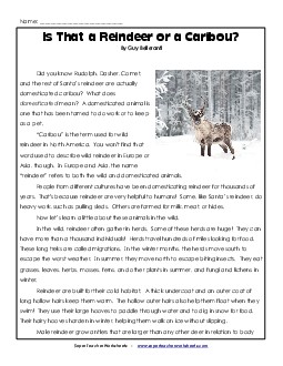 Is That a Reindeer or a Caribou? (Article) 5th Grade Reading Comprehension Worksheet