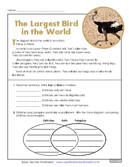 Ostriches (Short) 2nd Grade Reading Comprehension Reading Comp Short Worksheet