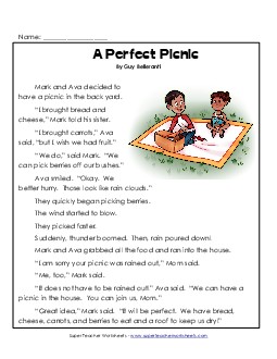 A Perfect Picnic 1st Grade Reading Comprehension Worksheet