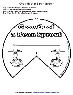 Bean Sprout Growth Cycle Wheel (Basic) Plants Worksheet