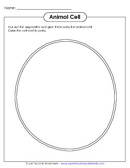 Cut-and-Glue Animal Cell Cells Worksheet