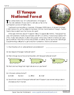 El Yunque National Forest (Short Article) 3rd Grade Reading Comprehension Reading Comp Short Worksheet