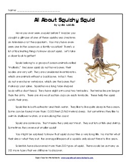 All About Squishy Squid 3rd Grade Reading Comprehension Worksheet